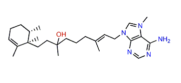 10-Hydro-9-hydroxyagelasine F